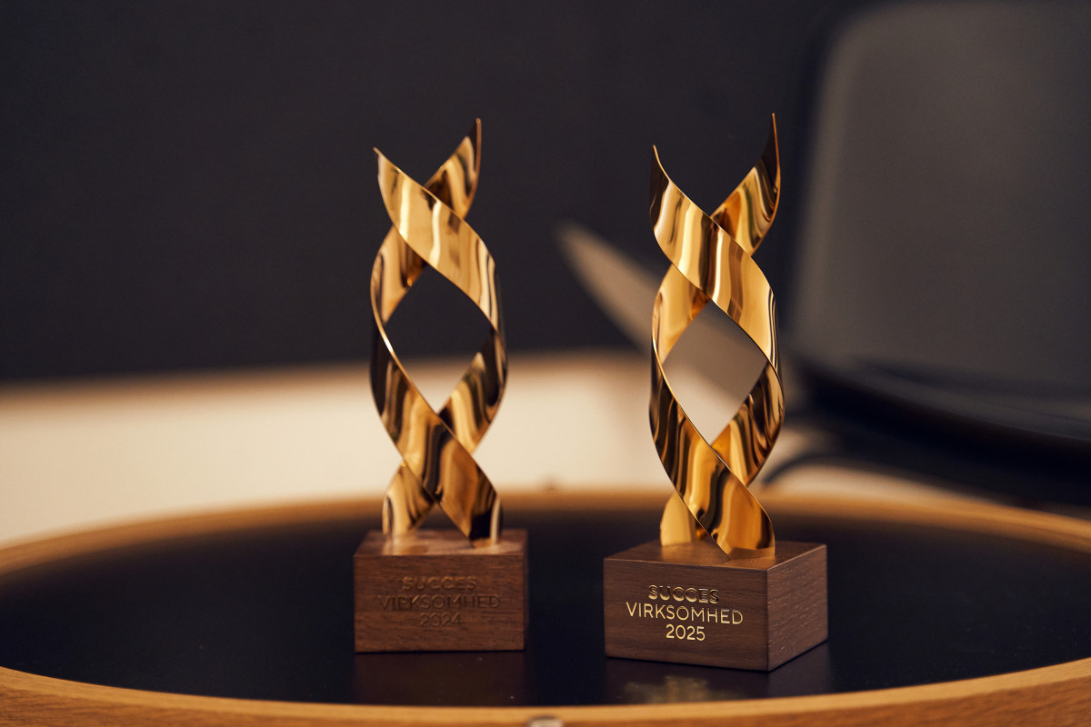 Forside -> Succesvirksomhed
